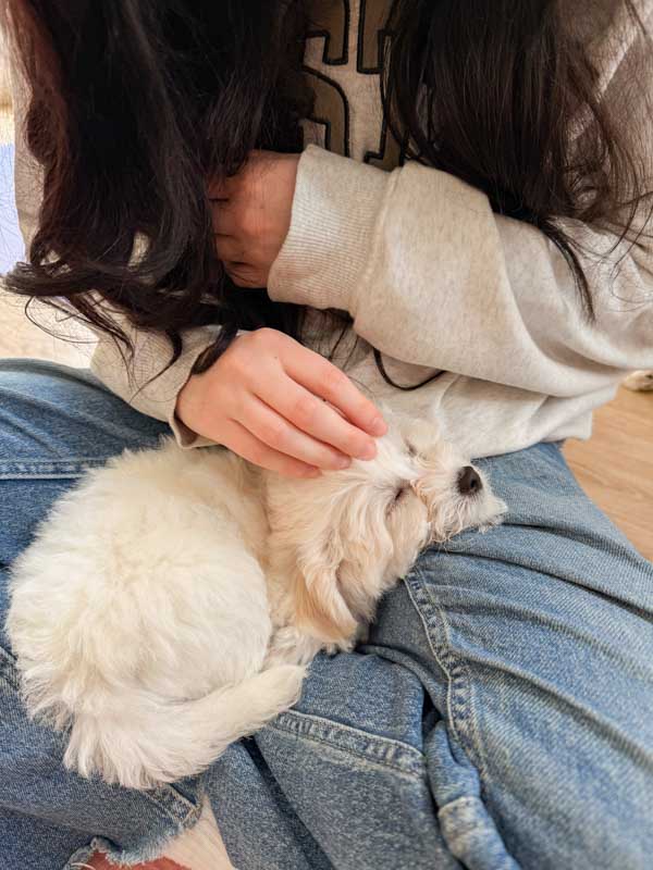 Μαθήτρια με κουτάβι σε διοργάνωση puppy yoga μαθήματος