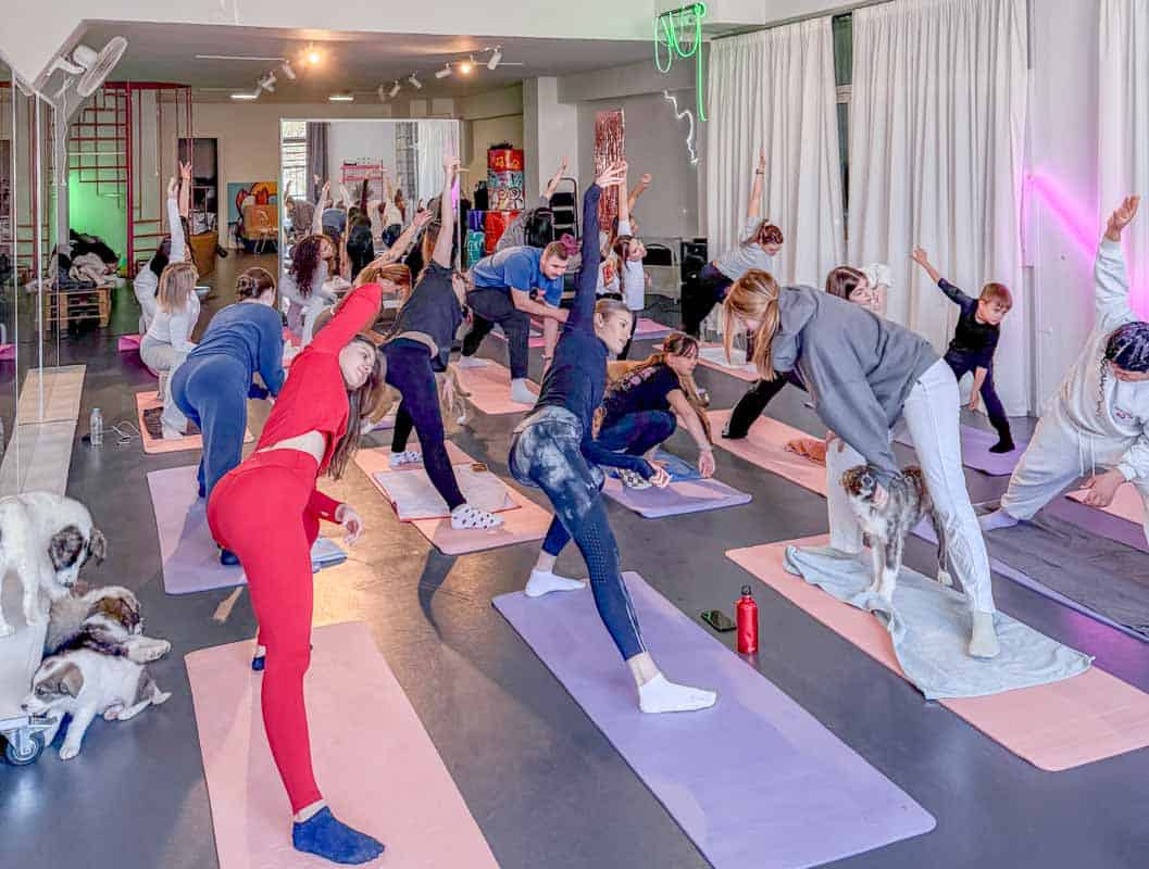 Μάθημα puppy yoga με την ιδρύτρια του Puppy Pulse Γεωργία Φουρλακίδου στη Θεσσαλονίκη